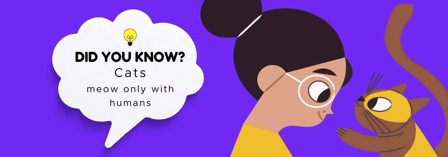 Did you know graphic: cats meow only with humans, with a cartoon girl in glasses facing a cat