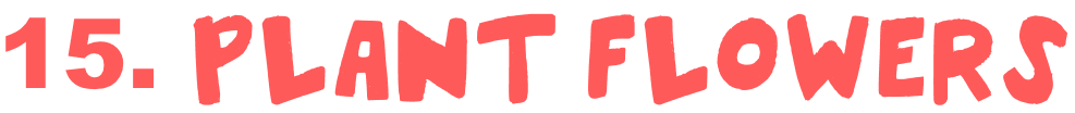15. Plant flowers