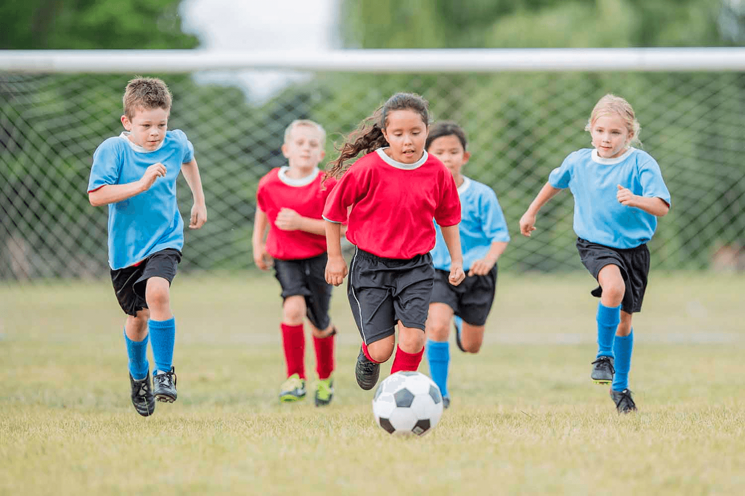 Children in red and blue jerseys race after a soccer ball on a grass field.
