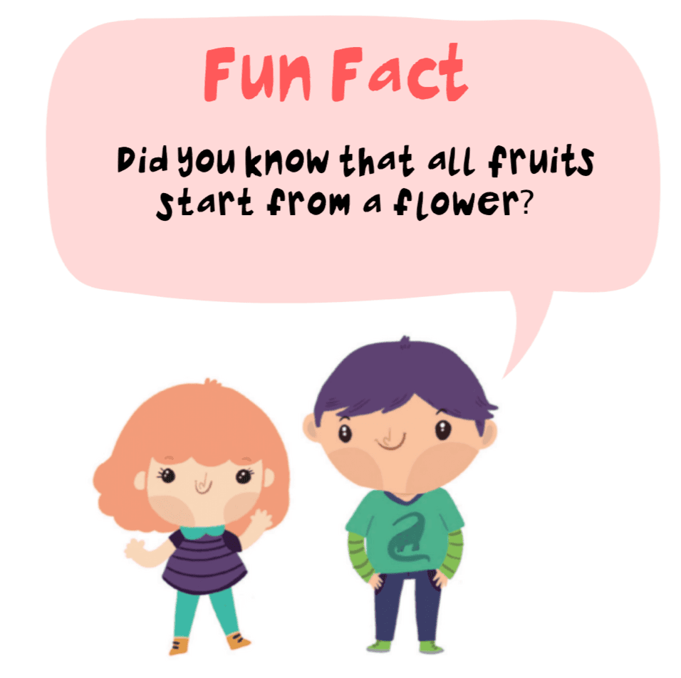 Cartoon girl and boy beside a speech bubble reading Fun Fact: Did you know that all fruits start from a flower?