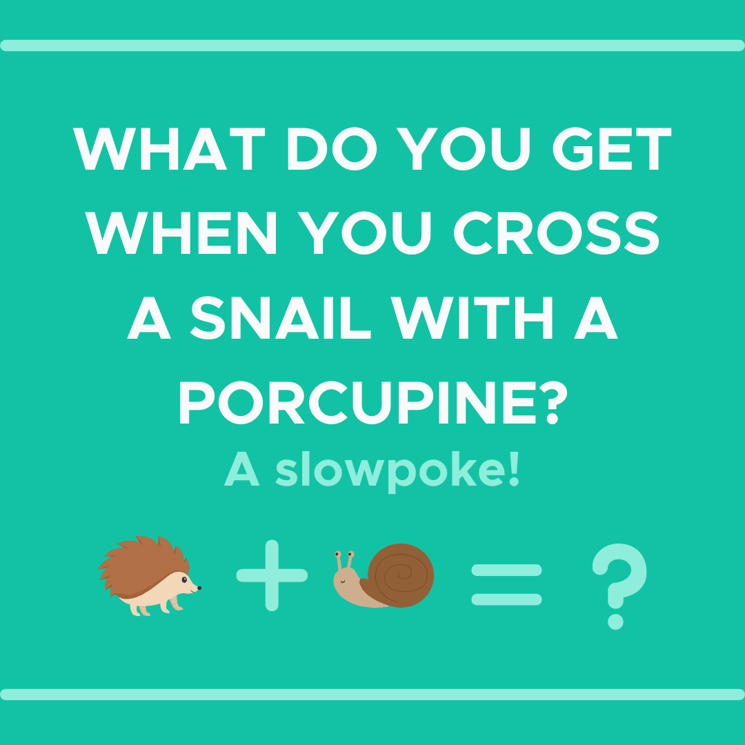 Joke card reads What do you get when you cross a snail with a porcupine? A slowpoke! with a hedgehog plus snail picture.